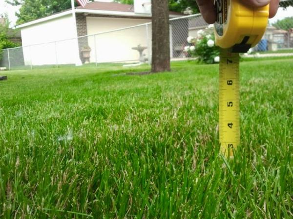 Marek Lawn & Landscape Inc