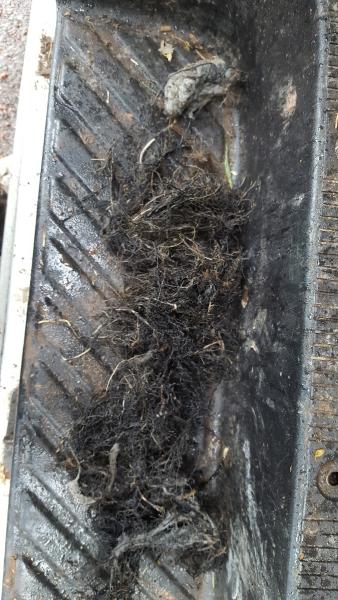 Hill Side Sewer and Drain Service