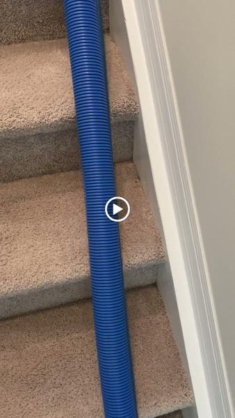 Wellington Carpet Cleaning