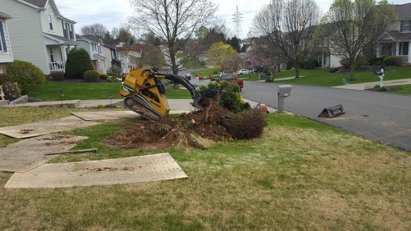 Jason's Landscaping and Lawn Service