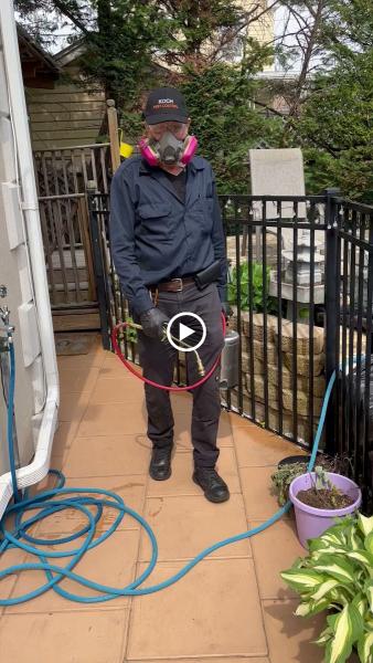 Koch Pest Control