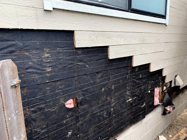 Jacks Termite Solutions