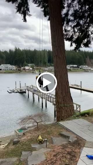 Zen Tree Services
