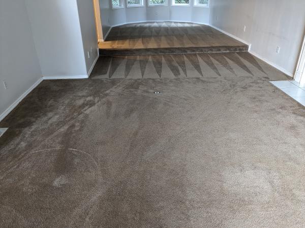 D. K. Carpet