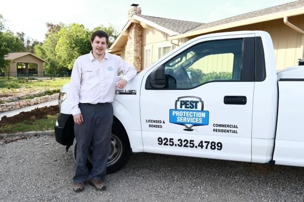 Pest Protection Services