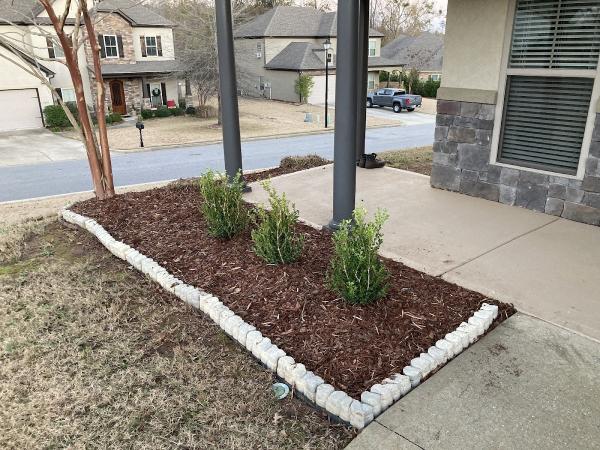 Estate Masters Lawn Land Tree