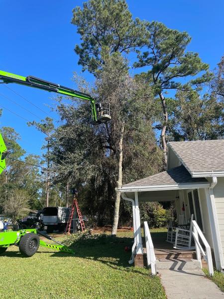 Warming Tree Services