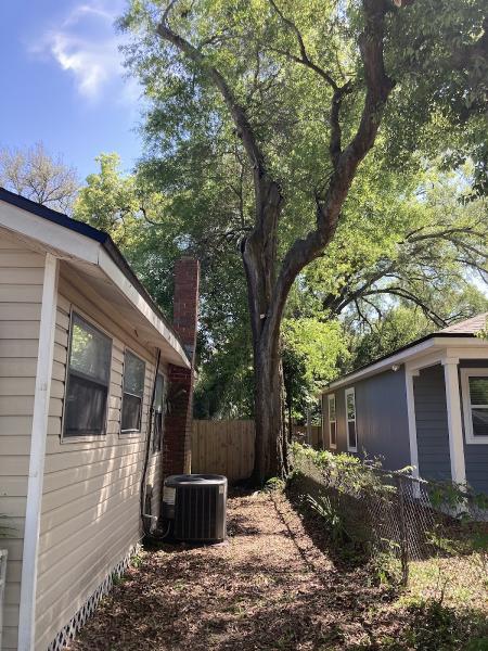 Warming Tree Services