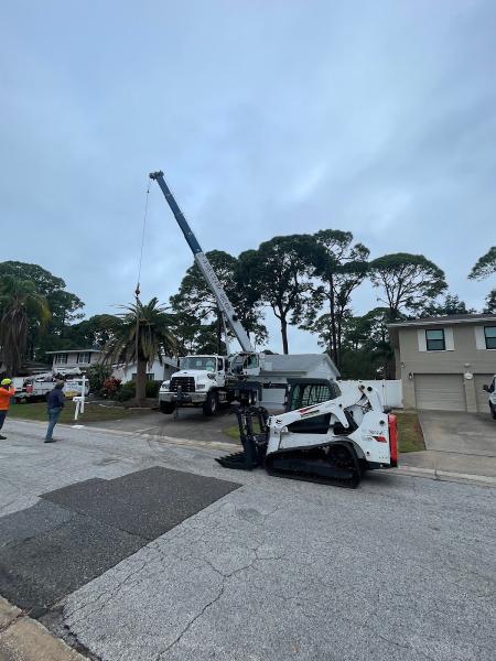 Coast to Coast Tree Service