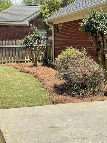 Fairway Lawn Maintenance