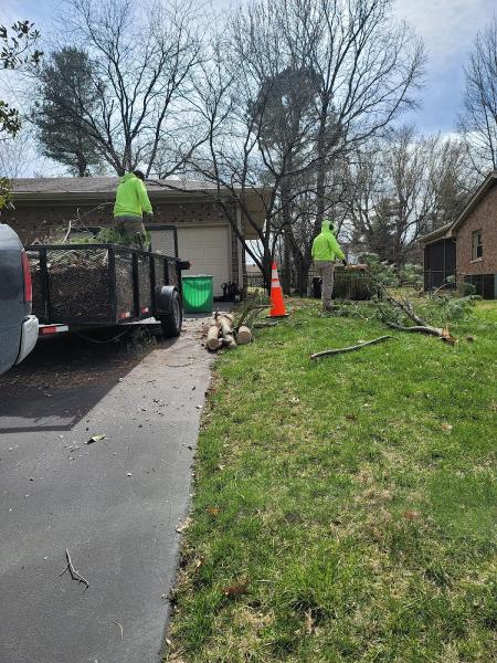 Bonita Lawn and Tree Service