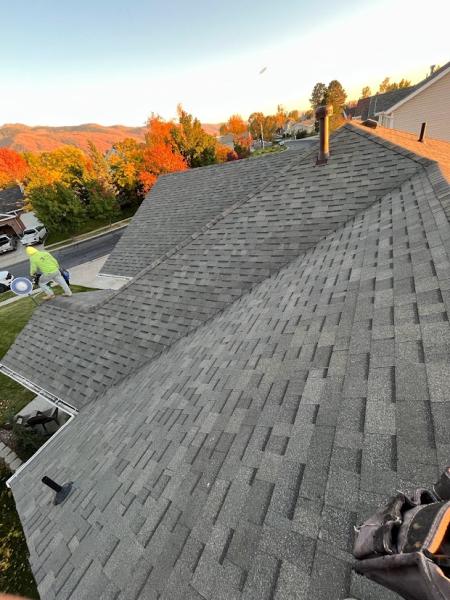 Artistic Roofing