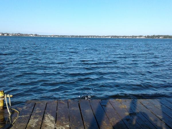 Tidewater Technical Coatings