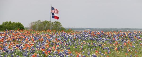 Realty Texas LCA