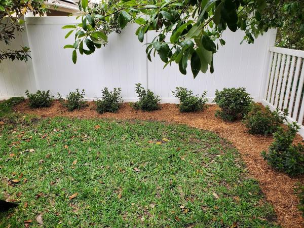 Crystal Cut Lawn Care
