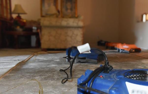 Guardian Restoration