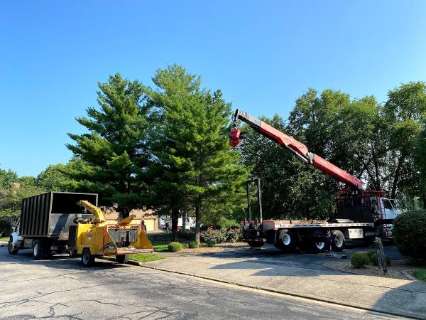 Pruden Tree Service