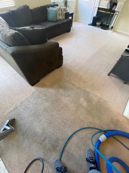 Alpha Steam Carpet Cleaning