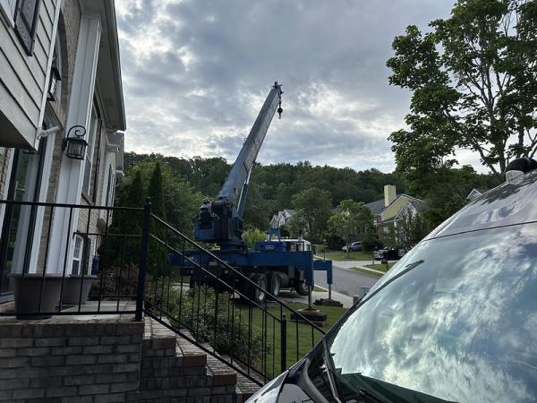 Gray's Tree Service