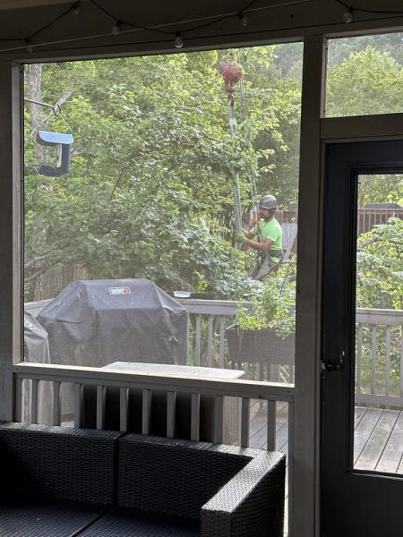 Gray's Tree Service