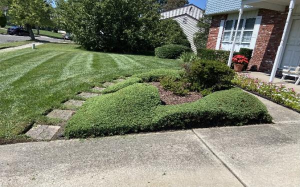 4 Phases Landscaping