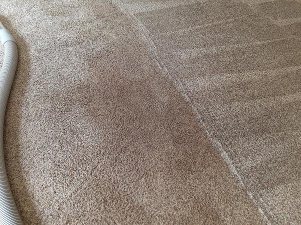 Scotts Steam Cleaning