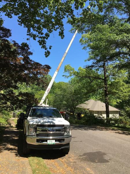 RJ Tree Service