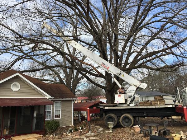 RJ Tree Service