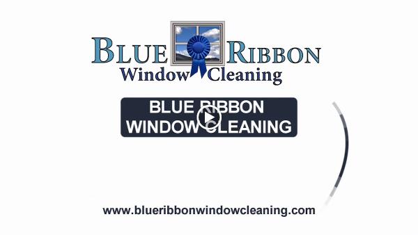 Blue Ribbon Window Cleaning