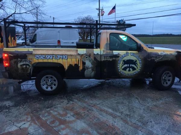 District Wildlife Solutions Humane Wildlife Removal