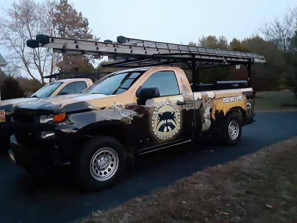 District Wildlife Solutions Humane Wildlife Removal