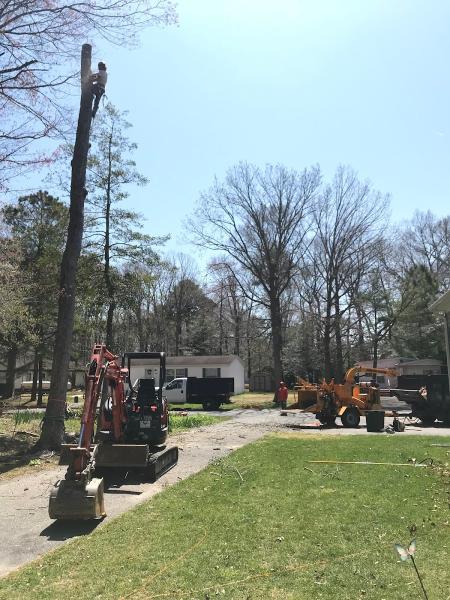 Delmarva Arborists