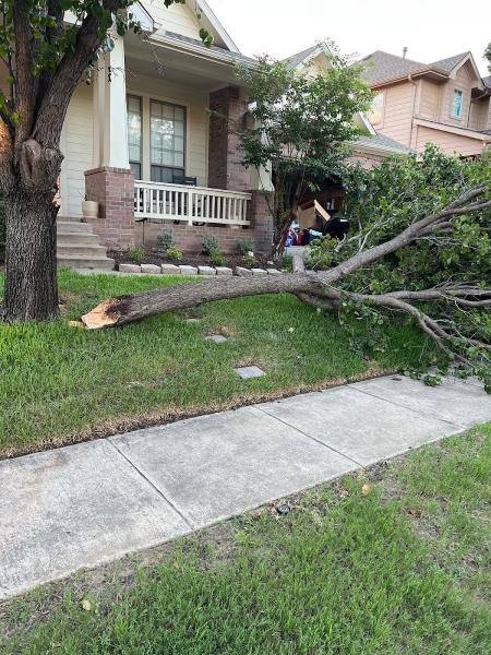 Samuel's Tree Service