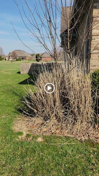 Merino Landscape LLC