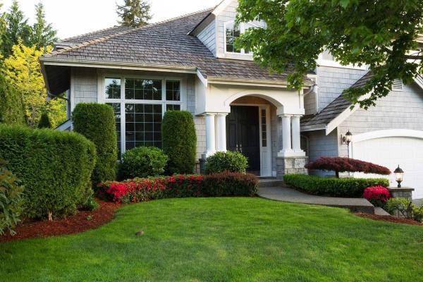 Nissi Landscaping Corp