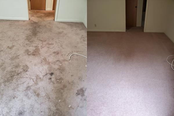 Powerhouse Carpet Cleaning
