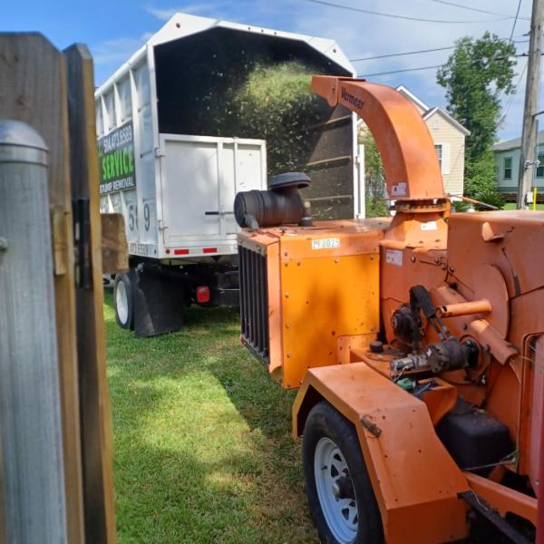 Reliable Tree Removal & Stump Removal