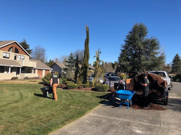 Lawn Boys Yard Maintenance and Landscape LLC