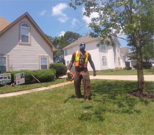 Aj's Tree Removal