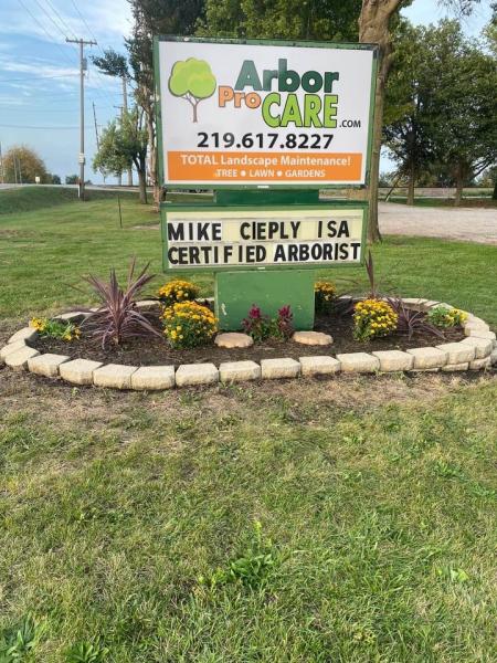 Arbor Pro Tree Care