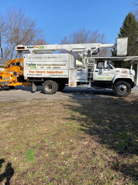 Arbor Pro Tree Care