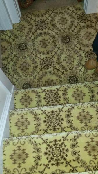 Frank's Carpet