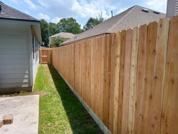 N2 Fencing