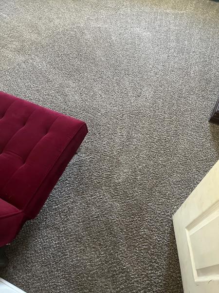 Ducks Carpet Cleaning