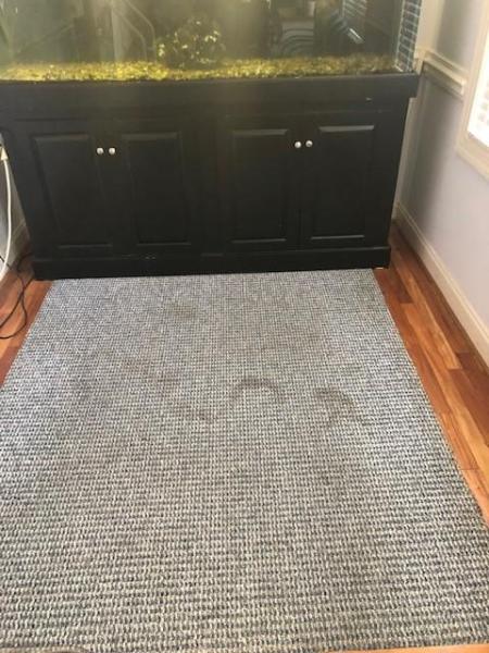 Lightning Clean Carpet