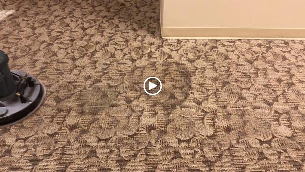 Lightning Clean Carpet
