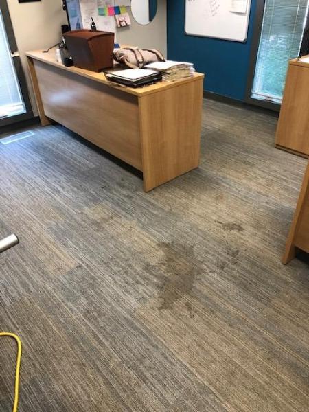 Lightning Clean Carpet