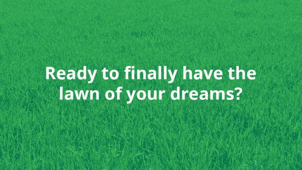 Quality All-Care Lawn Services