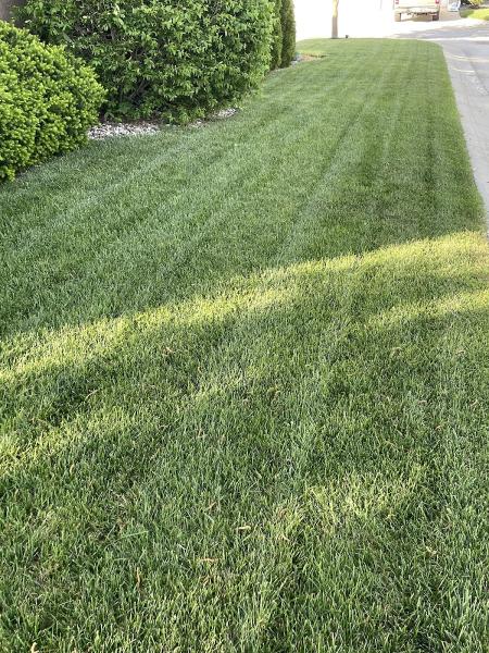 Quality All-Care Lawn Services