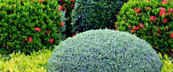 Quality All-Care Lawn Services